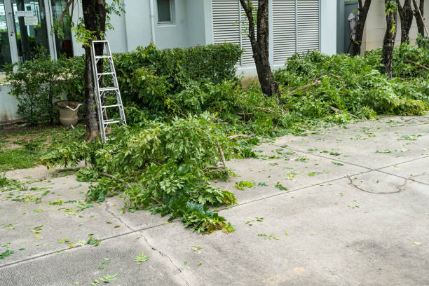Lawn Pest Prevention in Greenhills, OH